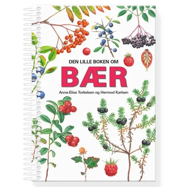 Den lille boken om bær Vigmostad Bjørke Den lille boken om bær