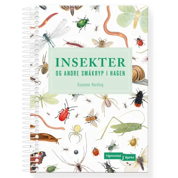 Insekter og andre småkryp i hagen Vigmostad Bjørke Insekter og andre småkr