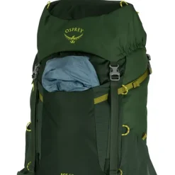 Juniorsekk Osprey Ace 50 Jr 1075