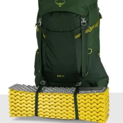 Juniorsekk Osprey Ace 50 Jr 1075