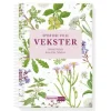 Spiselige ville vekster Vigmostad Bjørke Spiselige ville vekst