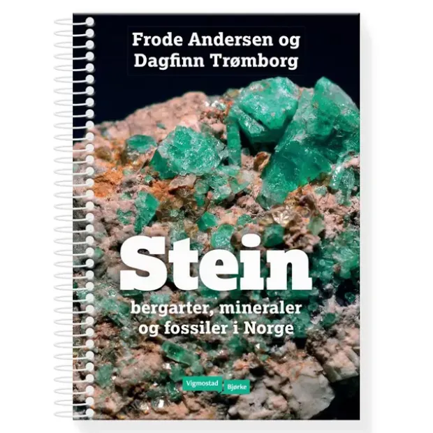 Stein Vigmostad Bjørke Stein