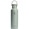 Termoflaske Hydro Flask Standard Flex 620 ml Agave