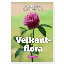 Veikantflora Vigmostad Bjørke Veikantflora