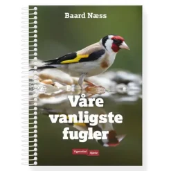 Våre vanligste fugler Vigmostad Bjørke Våre vanligste fugler